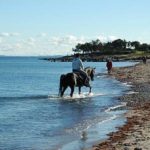 Reiter am Weidenfelder Strand