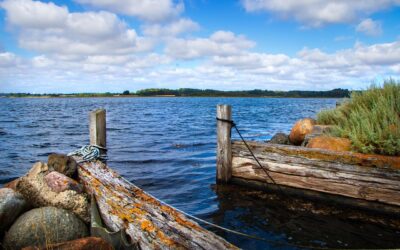 Saisonvorbereitungen 2025